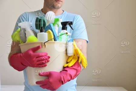 professional hous cleaning service