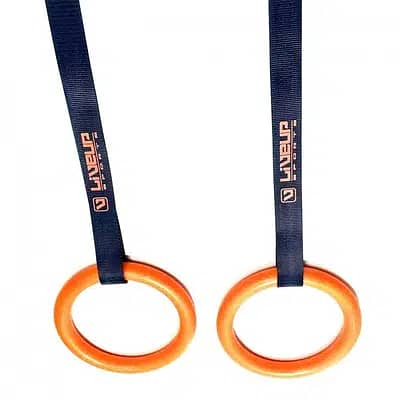 GYMNASTIC RINGS 2