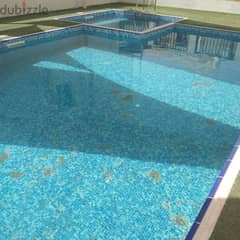 swimming pool maintenance and cleaning 0