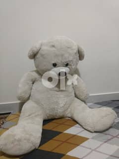 LARGE TEDDY BEAR FOR SALE URGENT