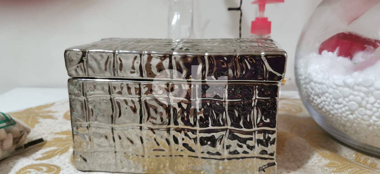 Silver shiny maker-up organizer with black velvet inside 1