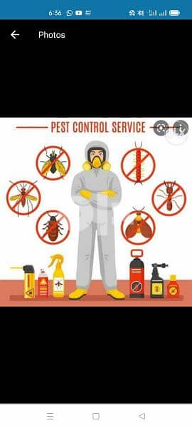 New & Old Building Cleaning. Pest Control. Sofa Shampooing. 1