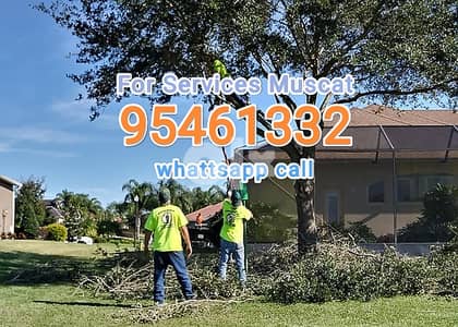 Best Plants and Trees Cutting Trimming Landscaping Service