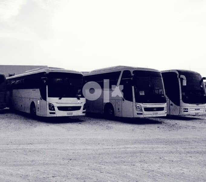 bus for rent باصات للايجار 3