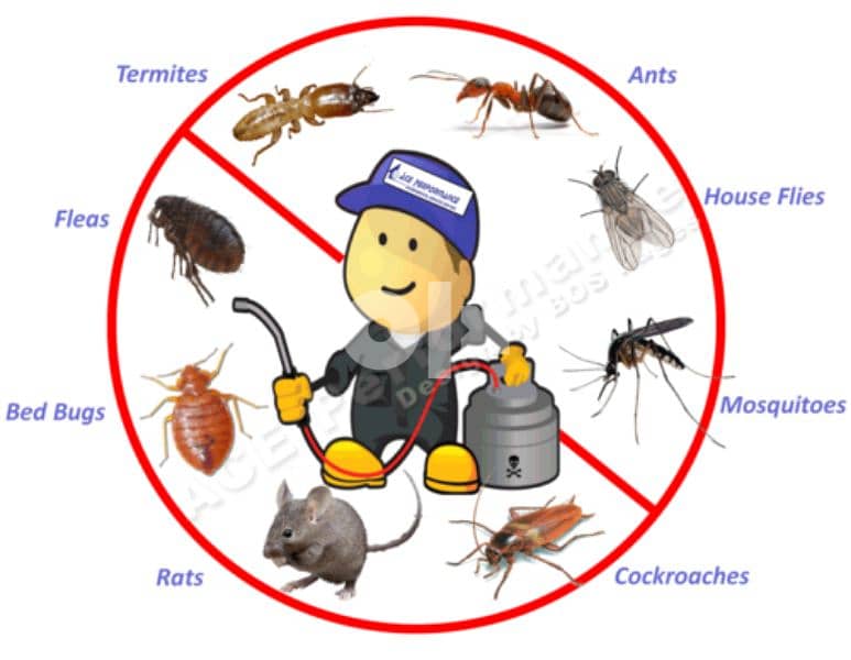 Pest Control Services 2