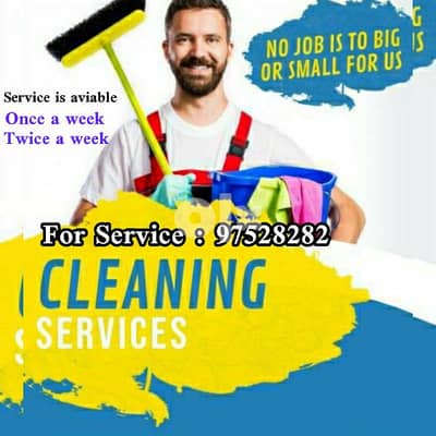 Home and Apartment Cleaning Services