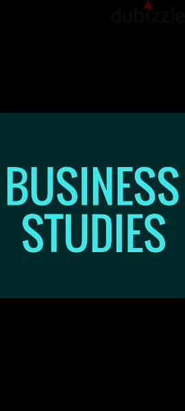 Business Studies 4