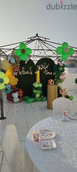 Party Decorations 9