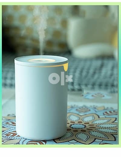 New Humidifier for home use