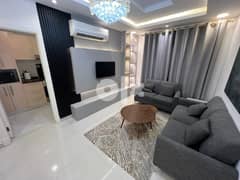 Furnished apartment for rent, Bowsher area