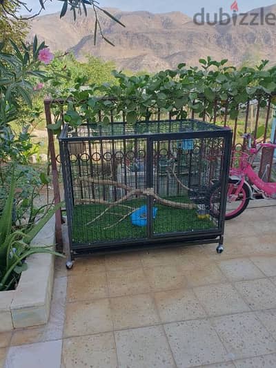 Dog Cage