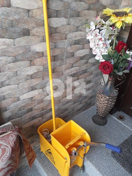 Mop bucket with mop head 1