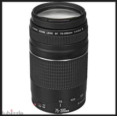 Canon Camera Lens EF 75-300mm (BrandNew) 0