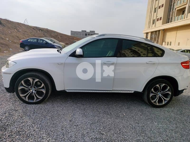 BMW X6 6 sylindre 2