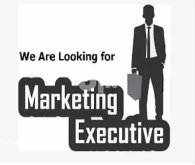 Looking for a Freelance MARKETING PROFESSIONAL with commission basis