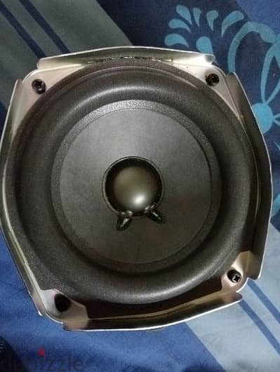 bose am6 and am10 subwoofer driver.