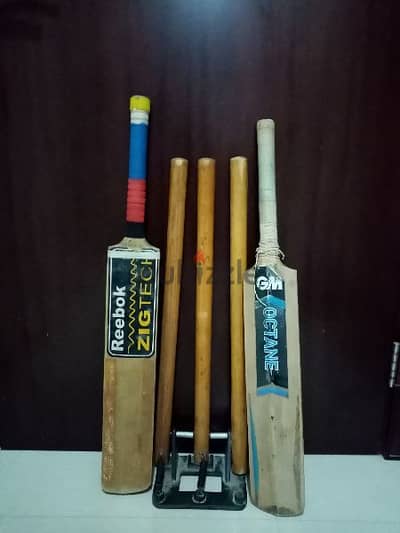 Cricket bats 2 nos.