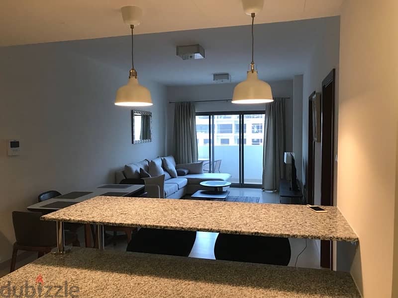 excellent 1 bed apartment - fully furnished - The Links 4