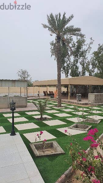 مزرعة الراحة للايجار اليومي raha Farm daily rental 13