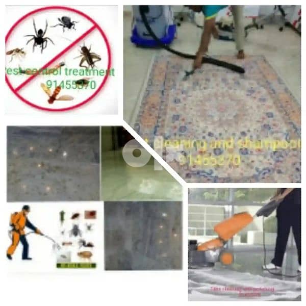 NEW EXPRESS CLEANSING AND PEST CONTROL SERVICE 1