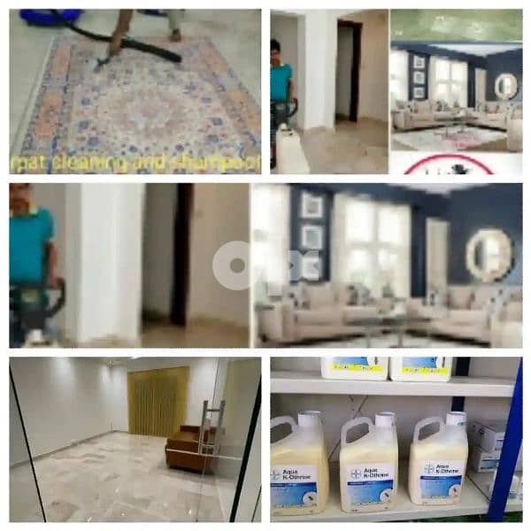 NEW EXPRESS CLEANSING AND PEST CONTROL SERVICE 3