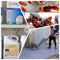 All Out Pest control service