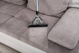professional sofa and carppet cleaning services