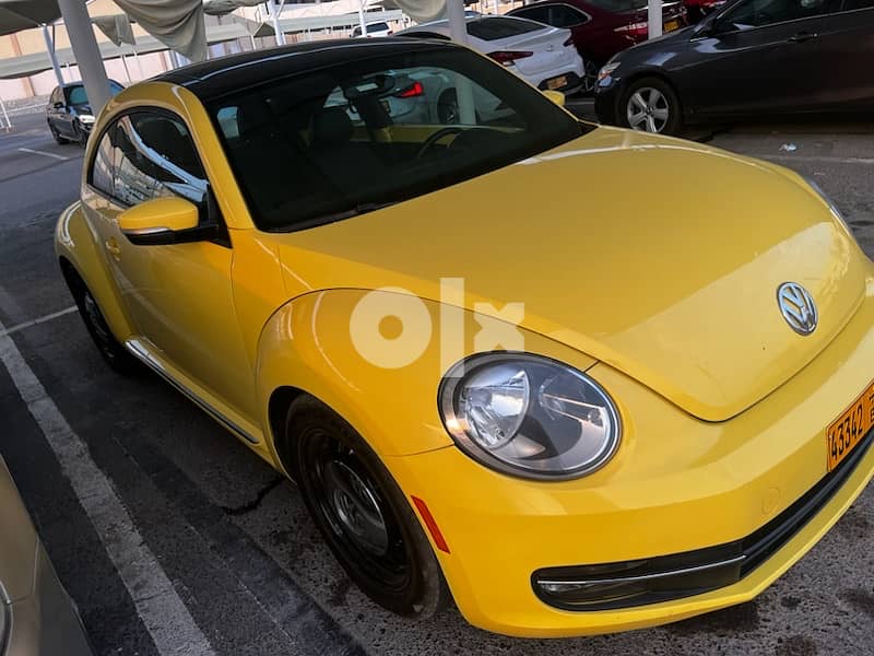 Beetle for sale 2