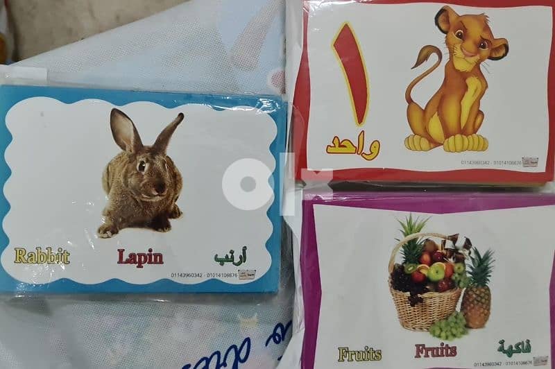 Arabic and English Books, Puzzles and Learning Cards 1