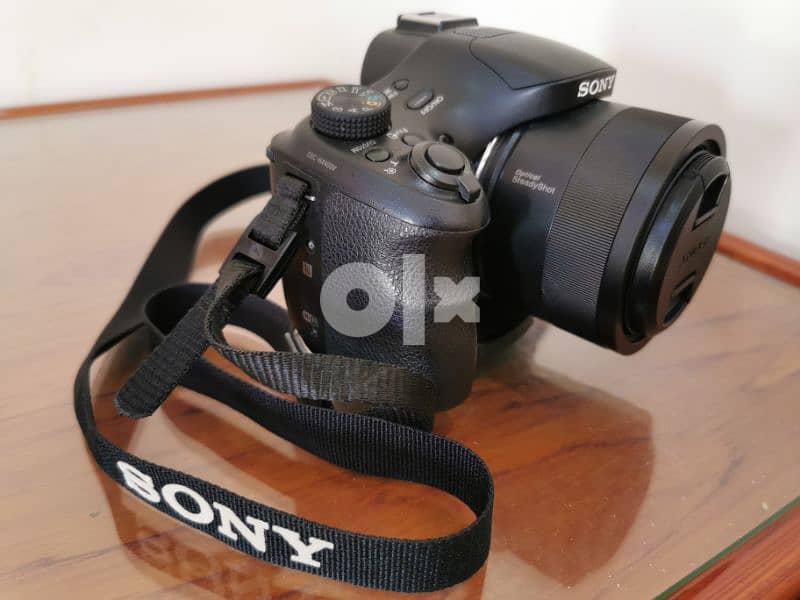 Sony camera Model No. DSC-HX400V 12