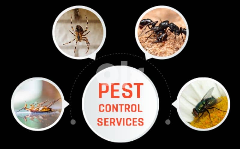 Pest control service for residential and commercial area 2