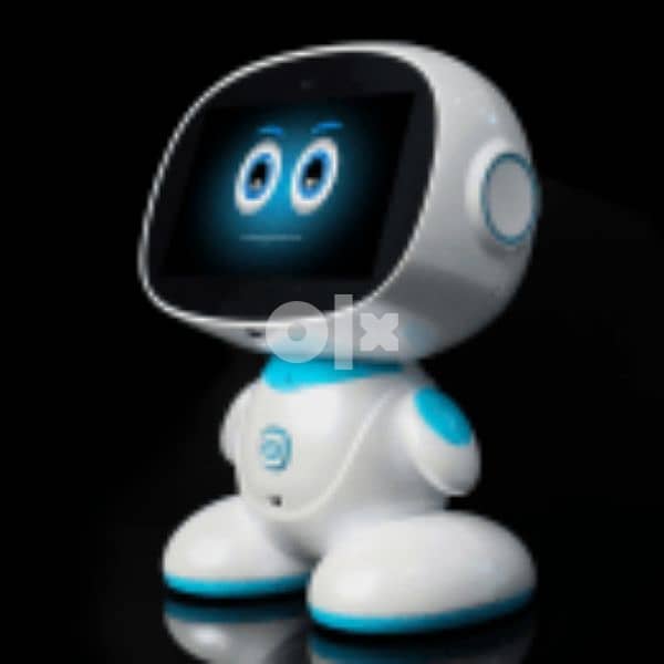 Misa The Next Generation Social Family Robot 2