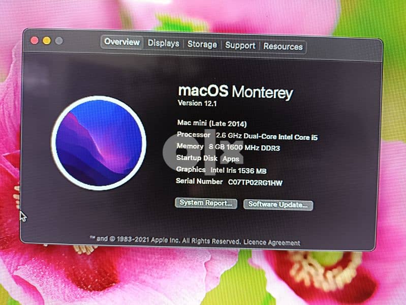 Mac Mini 8GB / 1TB 1