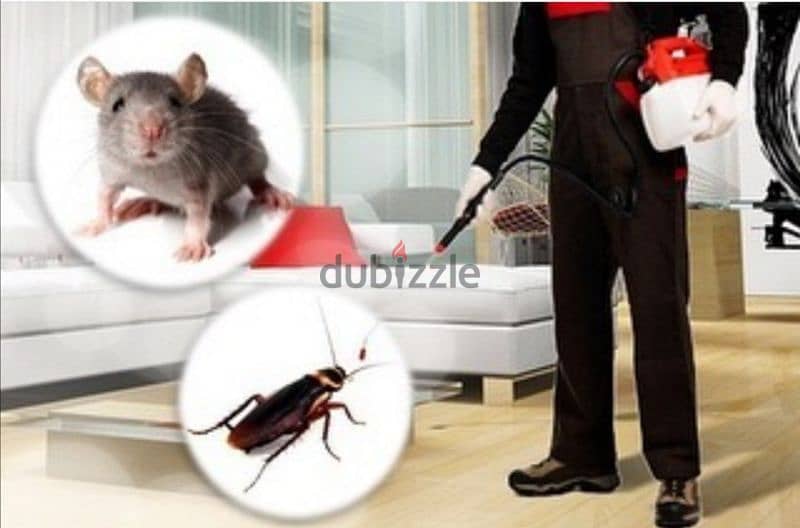 Pest control services 1