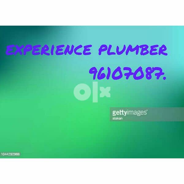 Professional and experienced plumbing repairing services 0