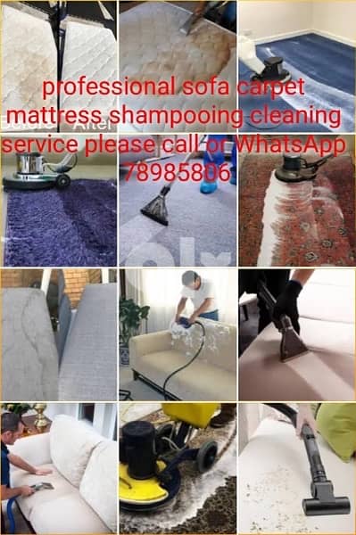 professional sofa carpet mattress cleaning service