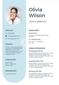 A professional  CV for you 0