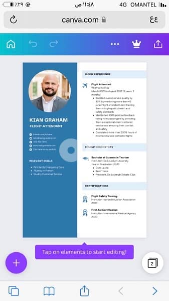 A professional  CV for you 1