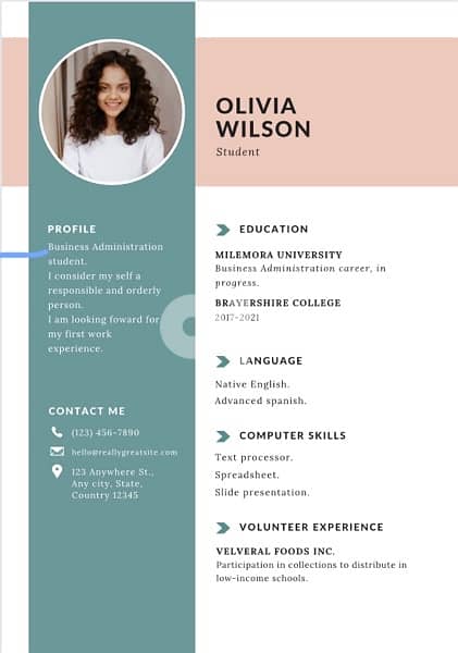 A professional  CV for you 2