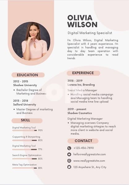 A professional  CV for you 5