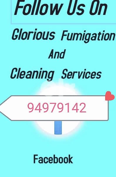 Professional villa & apartment deep cleaning service 0