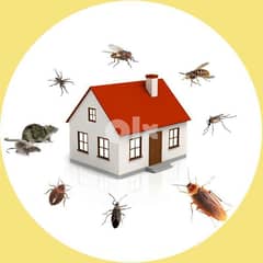pest control  services