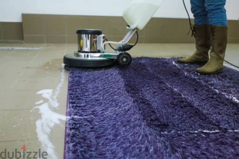 professional cleaning service we cleaning sofa carpet mattress  house 6