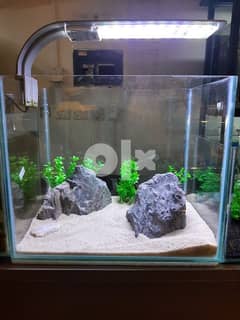 aquarium tank, light, filter and stones. watsapp 95286803