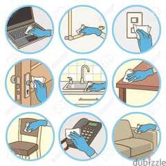 professional Sofa carpet cleaning services