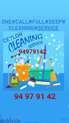 Professional house deep cleaning service 0