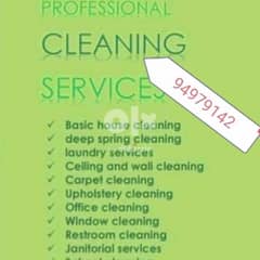 Professional home villa & apartment deep cleaning service 0