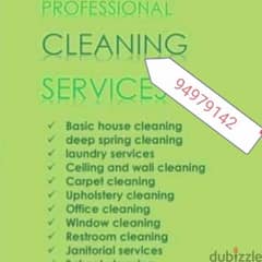 home villa & apartment deep cleaning service