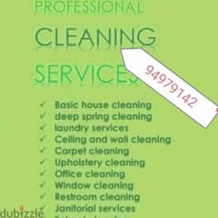 home villa & apartment deep cleaning service