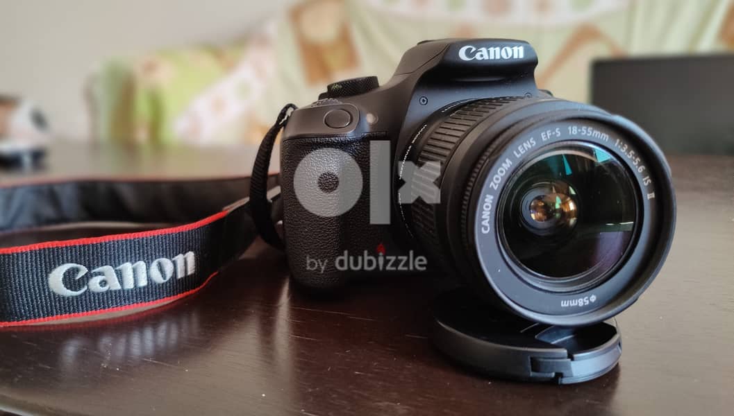 Canon 1300D | 55-250 and 18-55 MM lenses 11